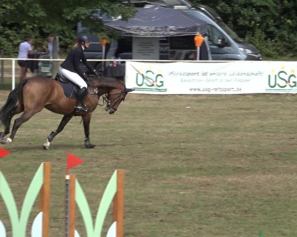 Reitturnier Kellinghusen 2022