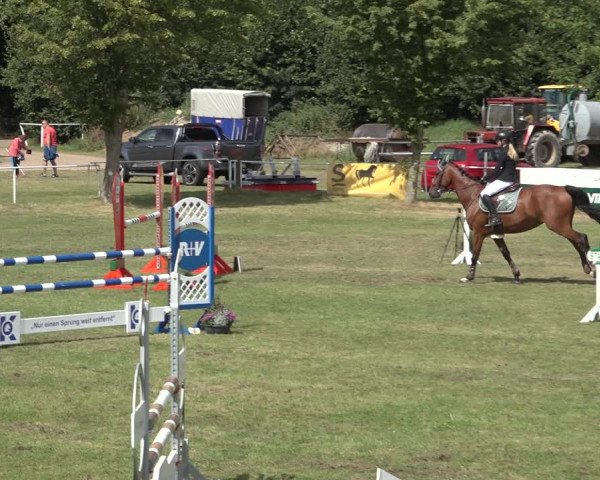 Reitturnier Kellinghusen 2022