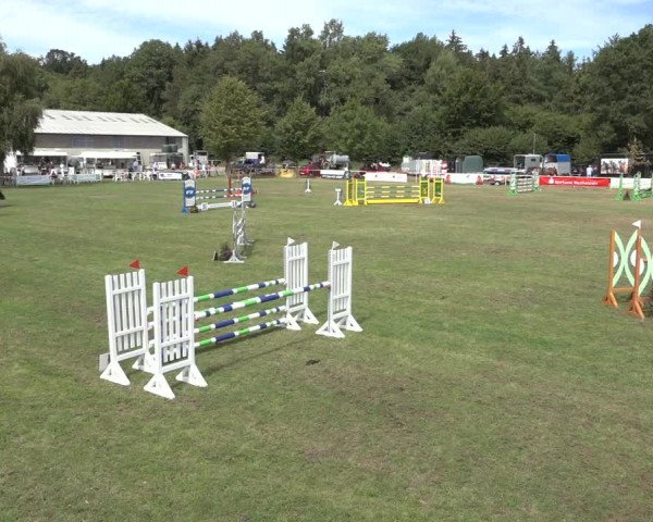 Reitturnier Kellinghusen 2022