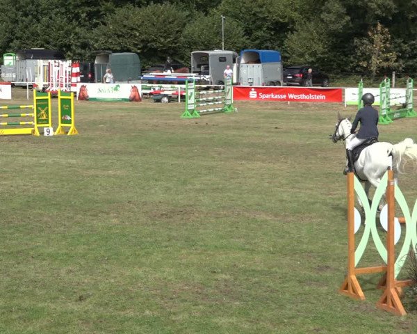 Reitturnier Kellinghusen 2022