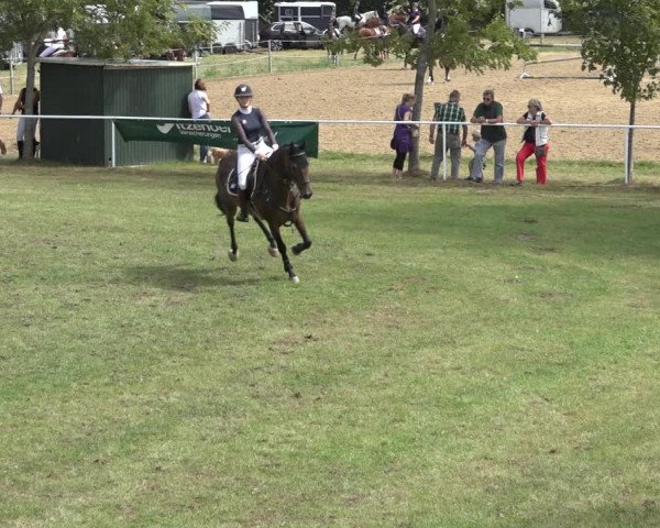 Reitturnier Kellinghusen 2022