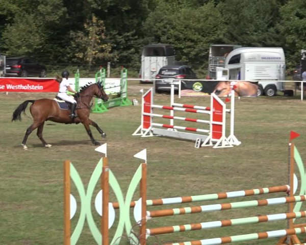 Reitturnier Kellinghusen 2022
