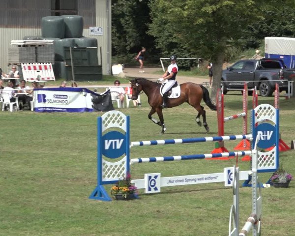 Reitturnier Kellinghusen 2022