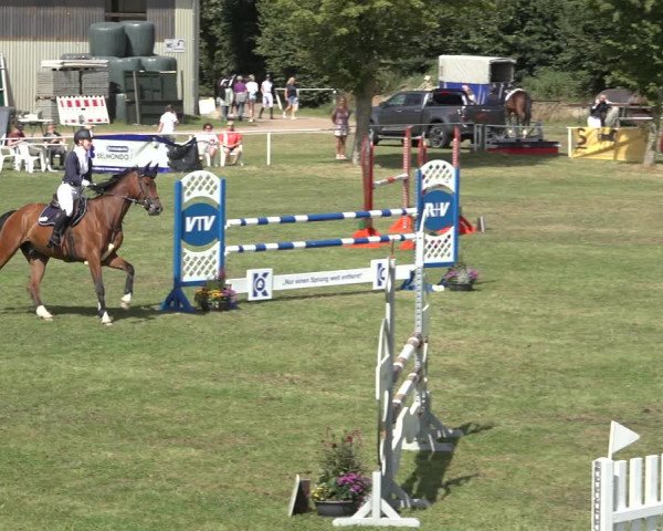 Reitturnier Kellinghusen 2022