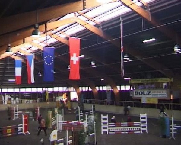 broodmare Caitlin 2 (Mecklenburg, 2005, from Cellestial)