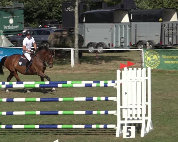 Reitturnier Kellinghusen 2022