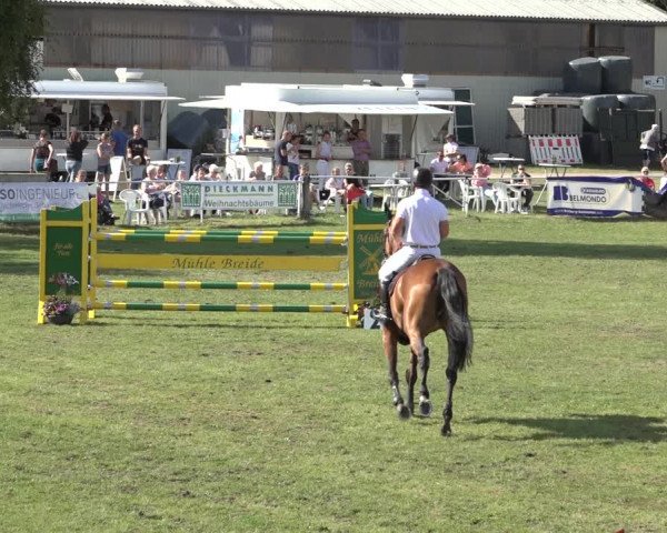 Reitturnier Kellinghusen 2022