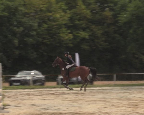 Reitturnier Menden 2022