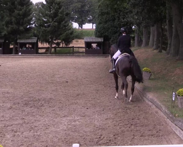 Reitturnier Datteln 2022