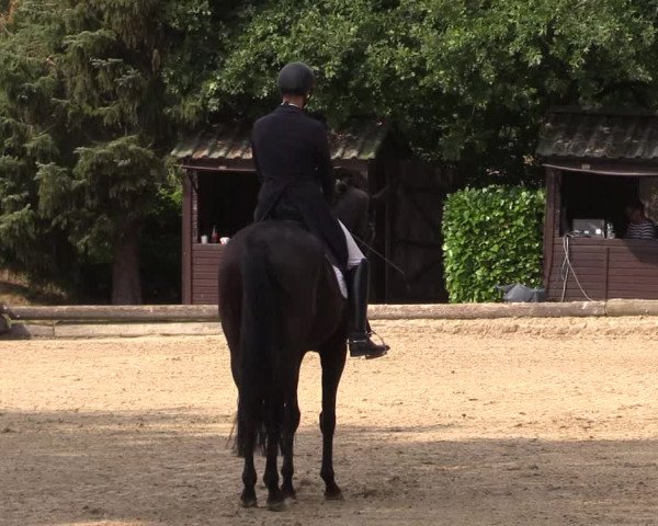 Reitturnier Datteln 2022