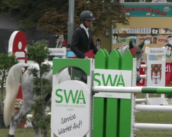 Reitturnier Aschersleben 2022