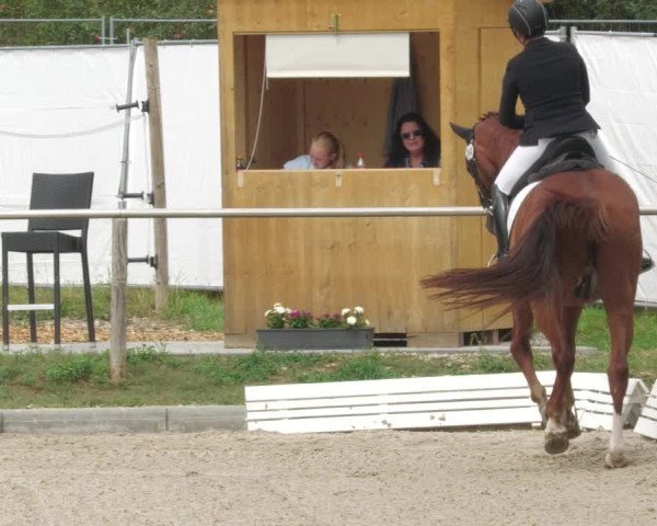 Reitturnier Köngen 2022