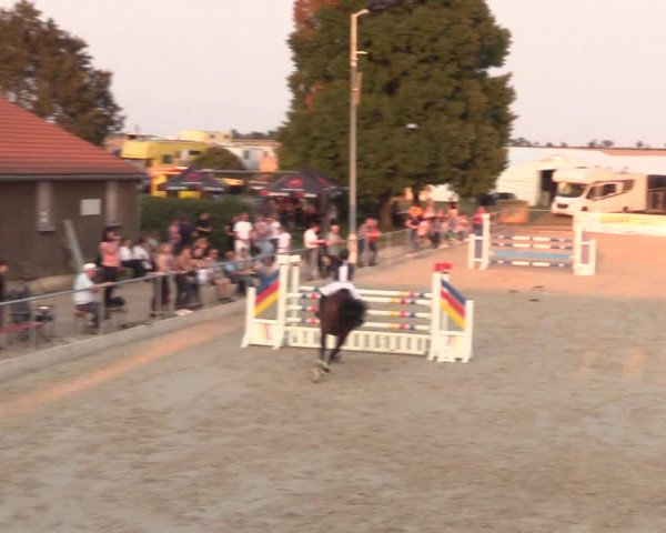 Springreitturnier Hohburg 2021