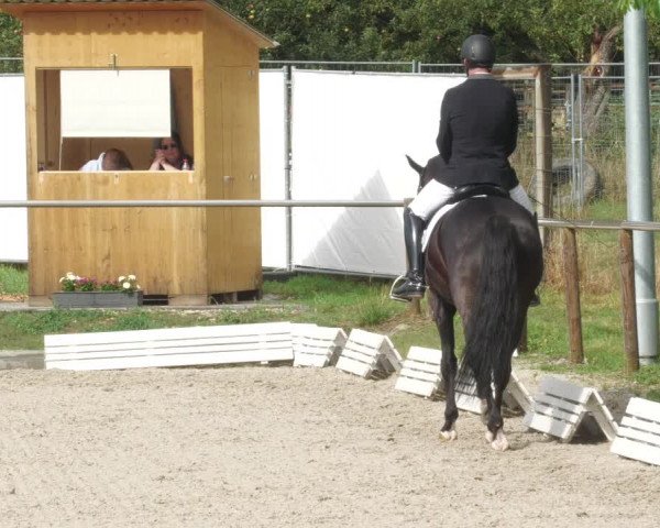 Reitturnier Köngen 2022