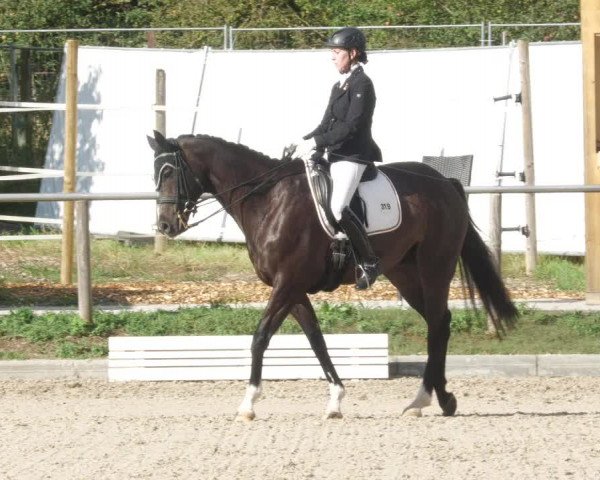 Reitturnier Köngen 2022