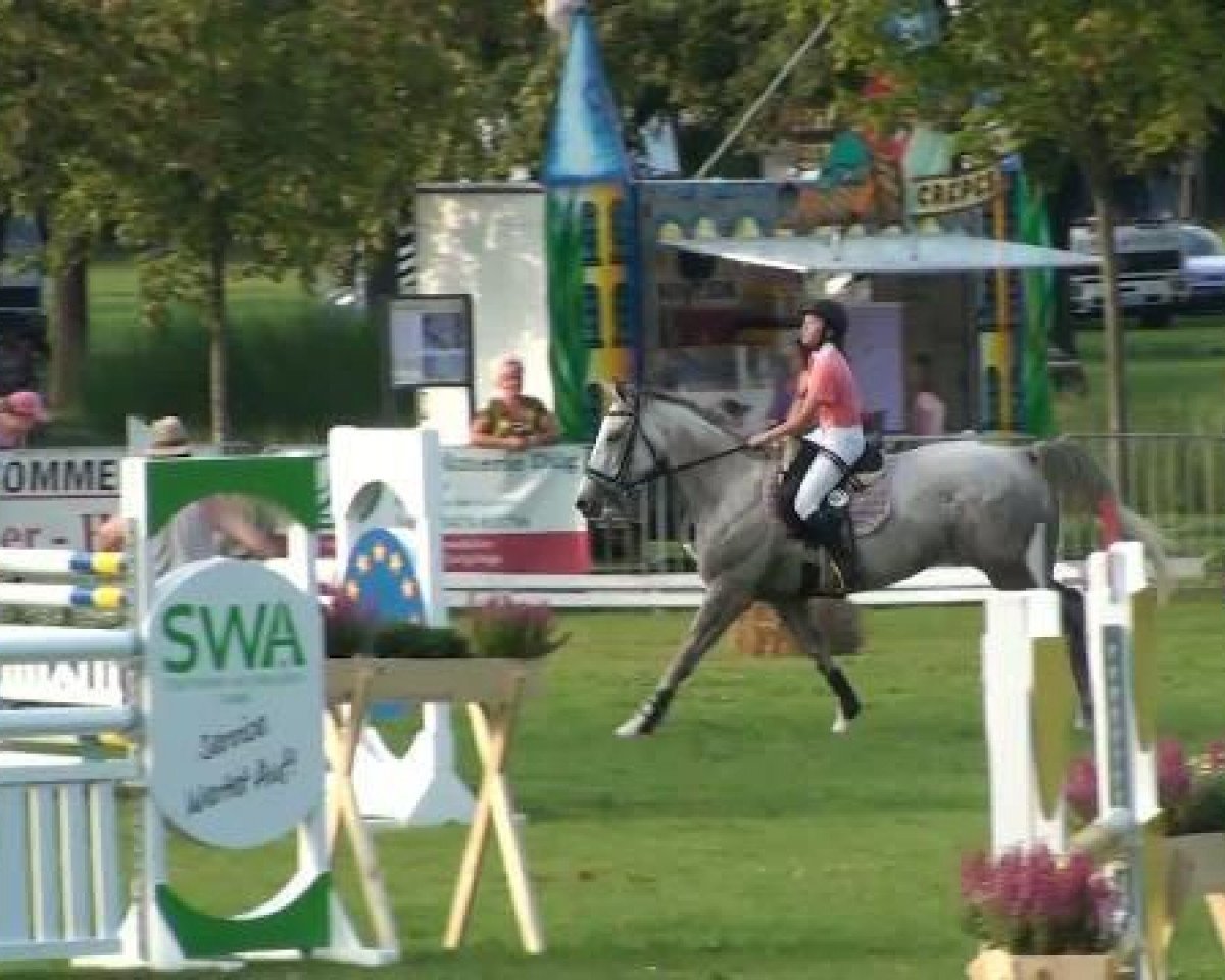 broodmare Kemi (German Sport Horse, 2004, from Kaiserwind)