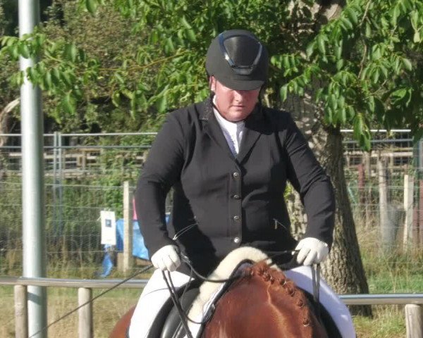 Reitturnier Köngen 2022