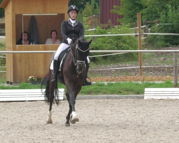 Reitturnier Köngen 2022