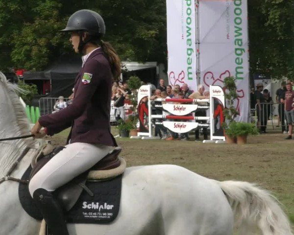 Reitturnier Aschersleben 2022