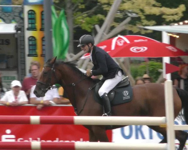 Reitturnier Aschersleben 2022