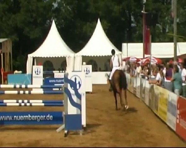 Zuchtstute Unabell (KWPN (Niederländisches Warmblut), 2001, von Orion Fortuna)