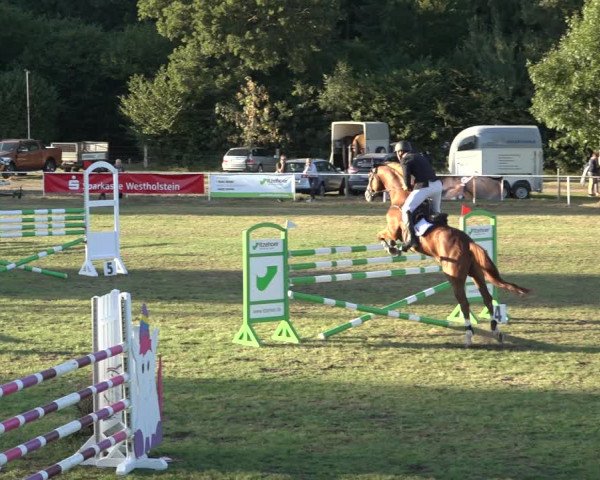 Reitturnier Kellinghusen 2022