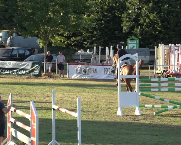 Reitturnier Kellinghusen 2022