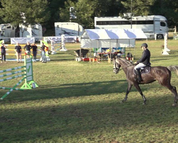 Reitturnier Kellinghusen 2022
