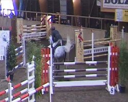 broodmare Calanda 33 (Württemberger, 2002, from Cordial S)