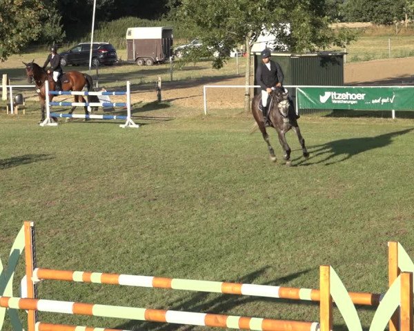 Reitturnier Kellinghusen 2022