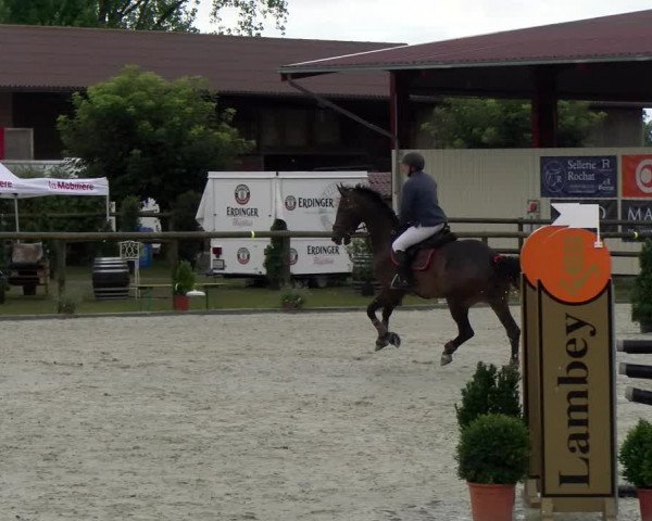 Reitturnier Dompierre 2022
