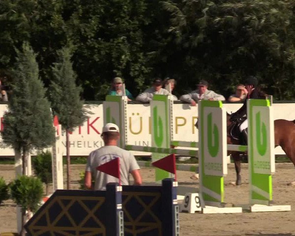 Reitturnier Schnarup-Thumby 2022