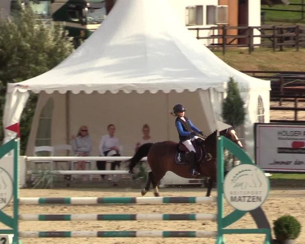 Reitturnier Schnarup-Thumby 2022