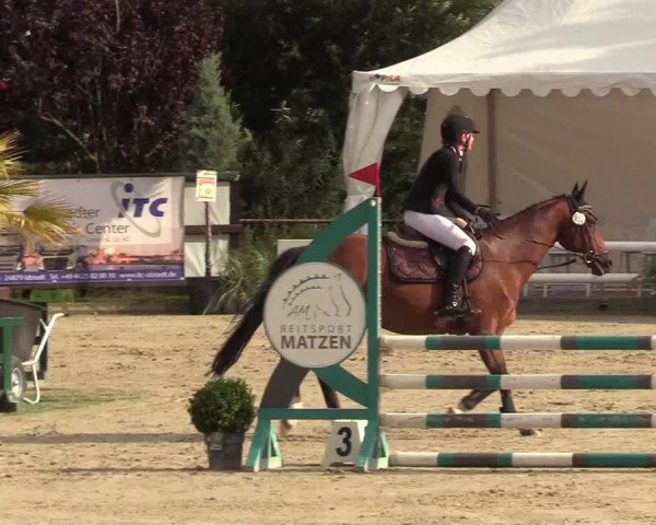 Reitturnier Schnarup-Thumby 2022