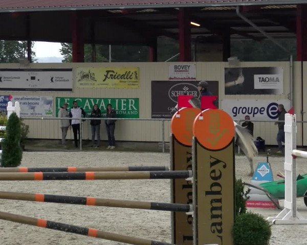 Reitturnier Dompierre 2022