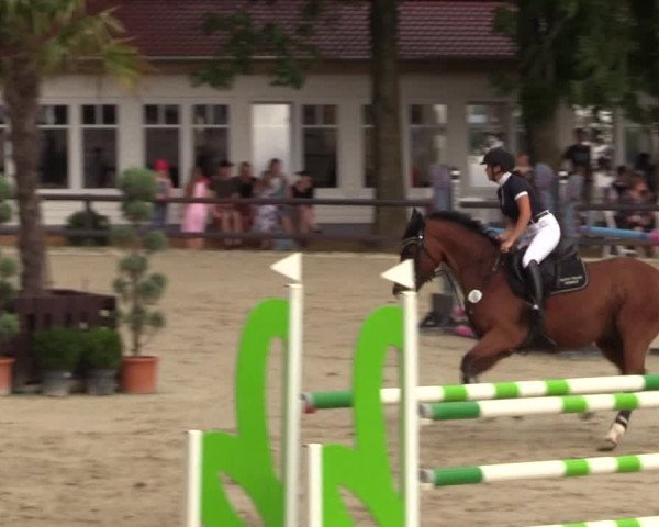 Reitturnier Schnarup-Thumby 2022