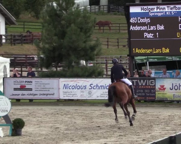 Reitturnier Schnarup-Thumby 2022