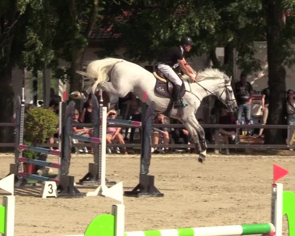 Reitturnier Schnarup-Thumby 2022