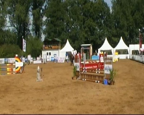 jumper Bel Ami 73 (KWPN (Royal Dutch Sporthorse), 2006, from Berlin)
