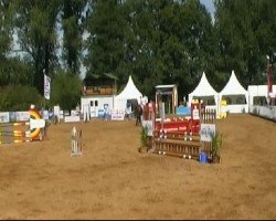 jumper Bel Ami 73 (KWPN (Royal Dutch Sporthorse), 2006, from Berlin)