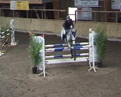 Zuchtstute Championesse (Württemberger, 2003, von Clearway)