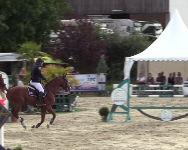 Reitturnier Schnarup-Thumby 2022