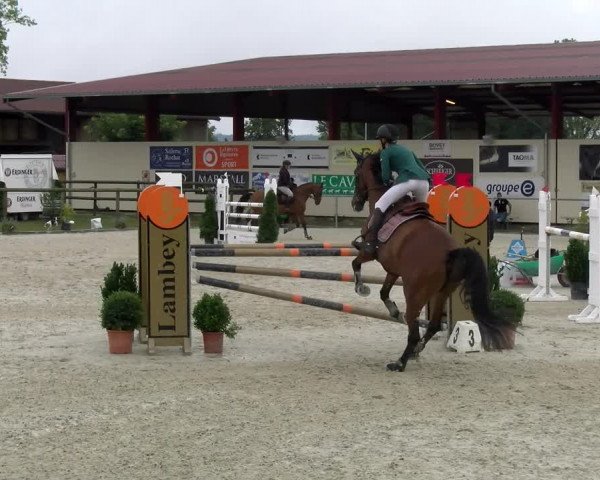 Reitturnier Dompierre 2022