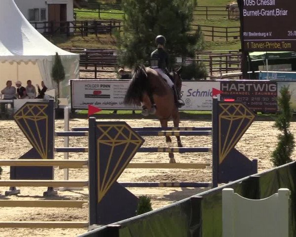 Reitturnier Schnarup-Thumby 2022