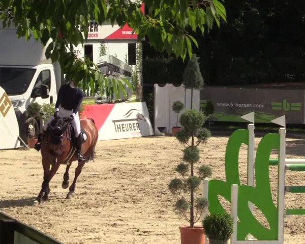 Reitturnier Schnarup-Thumby 2022