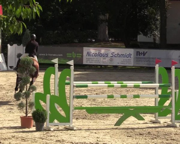 Reitturnier Schnarup-Thumby 2022