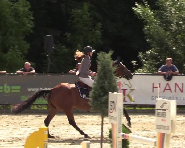 Reitturnier Schnarup-Thumby 2022