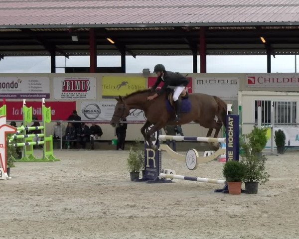 Reitturnier Dompierre 2022