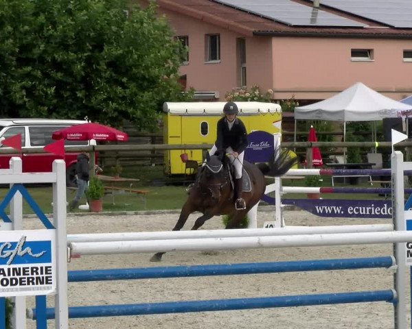 Reitturnier Dompierre 2022