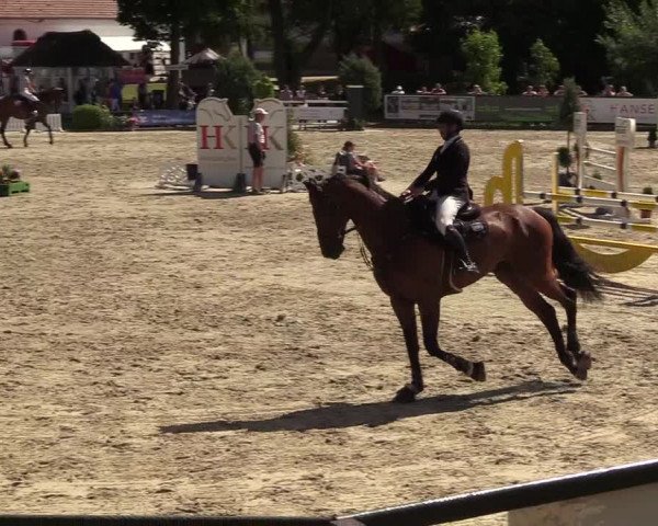 Reitturnier Schnarup-Thumby 2022